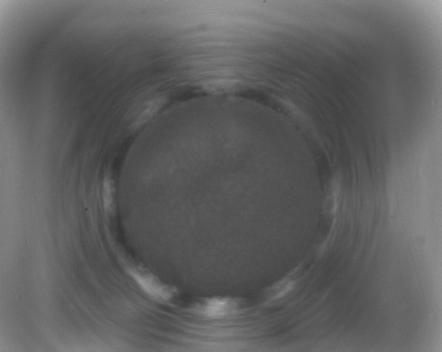 X0000082680130200702021236