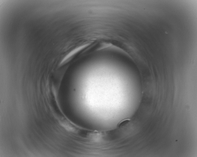 X0000082680131200702021236