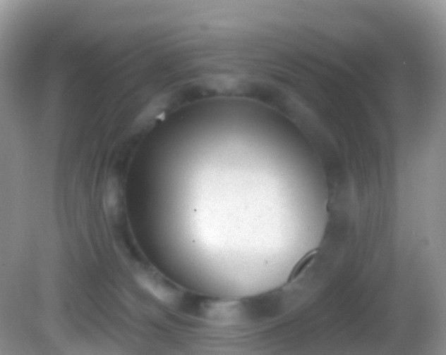 X0000082680132200702021236