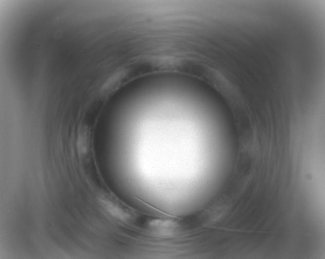 X0000082680133200702021236