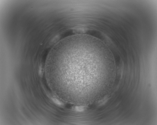 X0000082680134200702021236