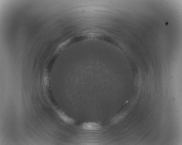 X0000082680137200702021236