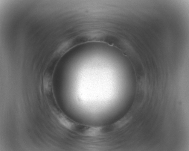 X0000082680138200702021236