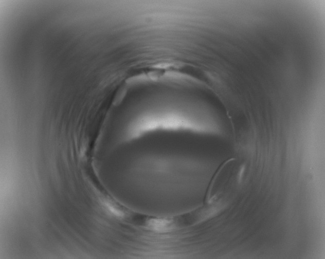 X0000082680139200702021236