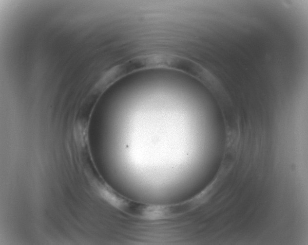 X0000082680142200702021236