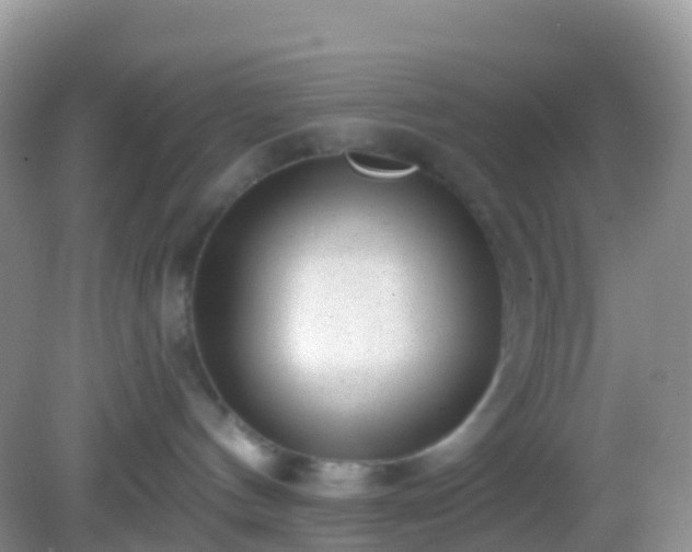 X0000082680144200702021236