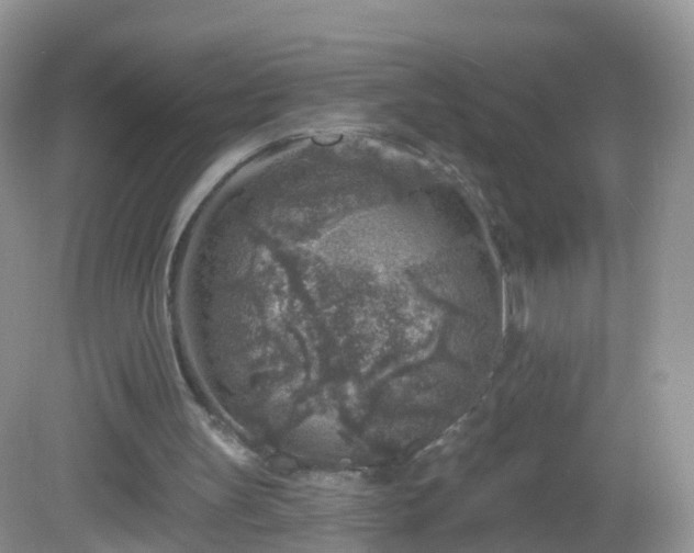 X0000082680147200702021235