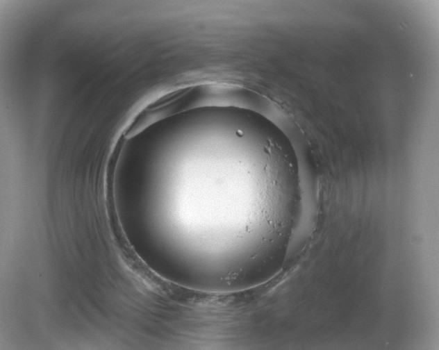 X0000082680148200702021235
