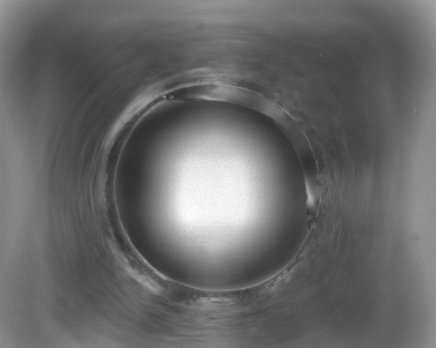 X0000082680150200702021235