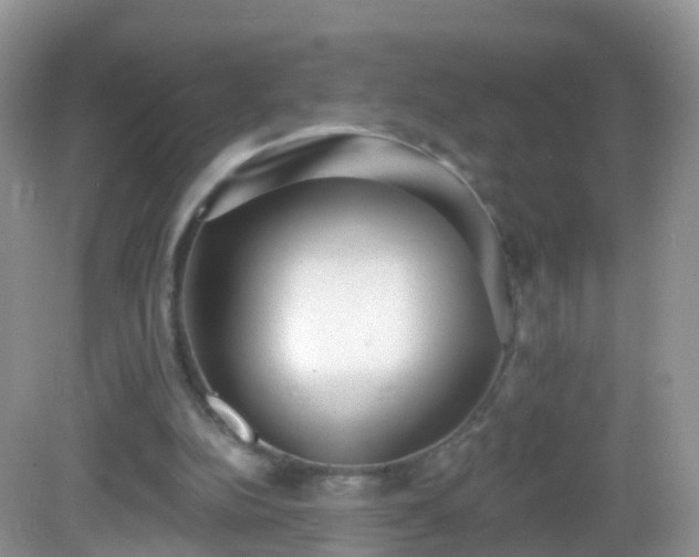 X0000082680152200702021235