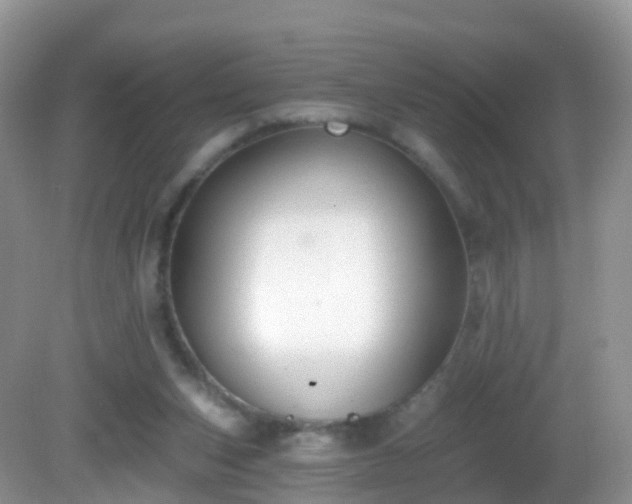 X0000082680159200702021236