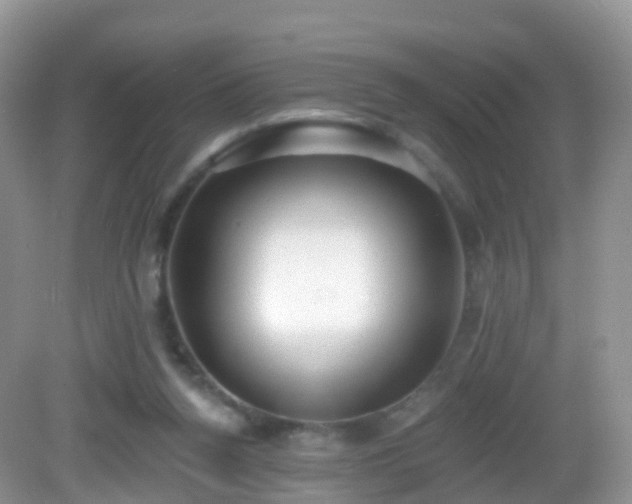 X0000082680160200702021236