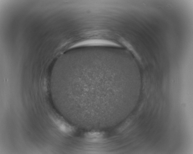 X0000082680161200702021236