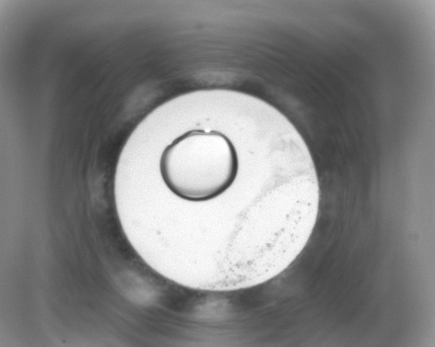 X0000082680162200702021236