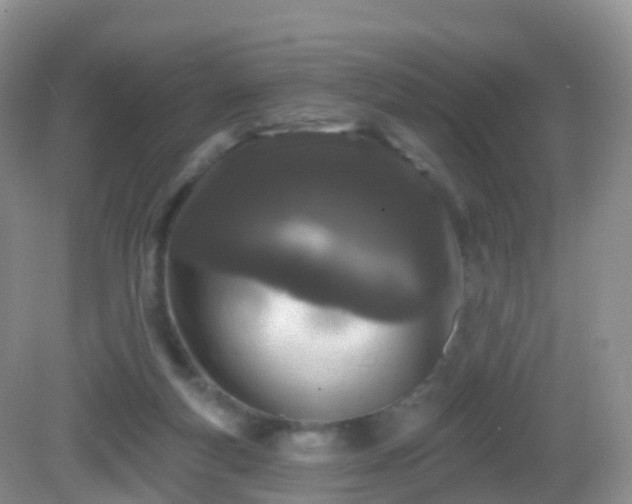 X0000082680163200702021236