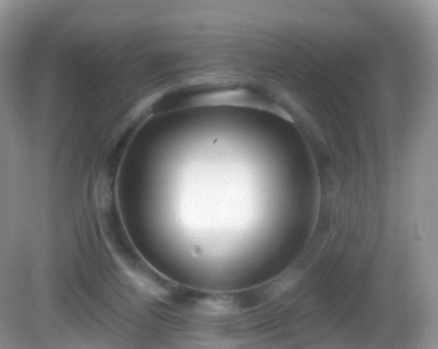 X0000082680164200702021236