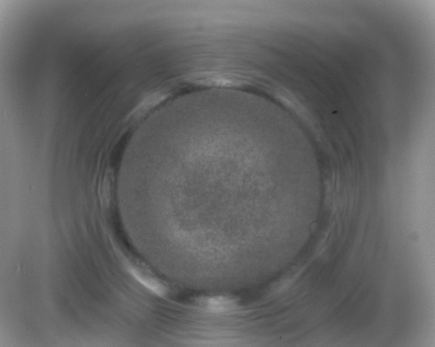 X0000082680165200702021236