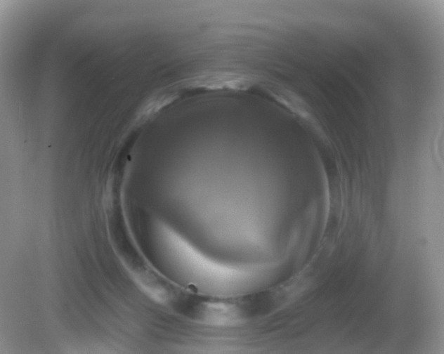 X0000082680167200702021236