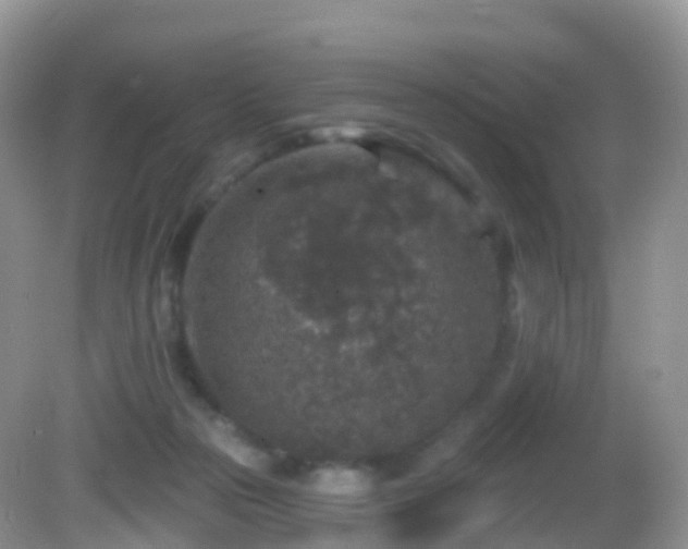 X0000082680169200702021236