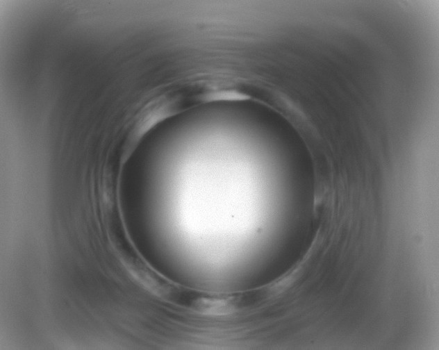 X0000082680170200702021236