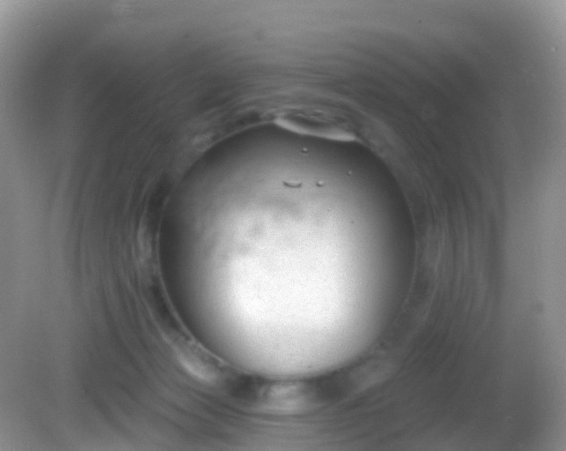 X0000082680173200702021236