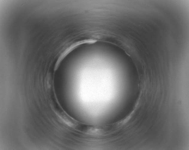 X0000082680174200702021236