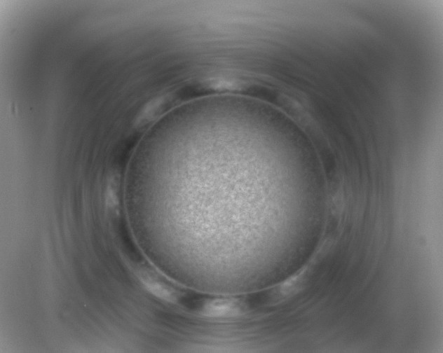 X0000082680175200702021236