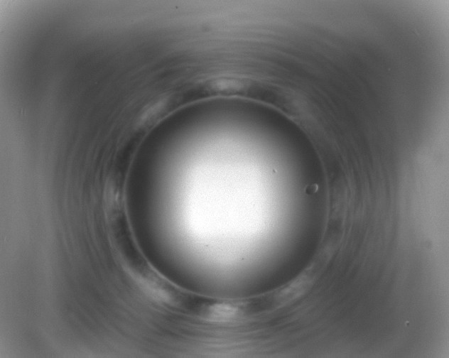 X0000082680176200702021236