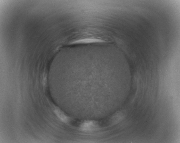 X0000082680177200702021236