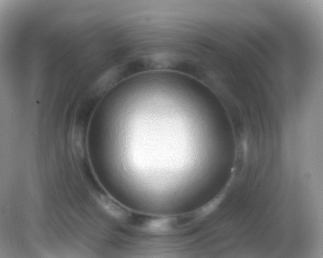 X0000082680178200702021236