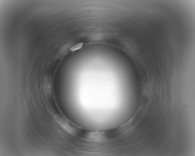 X0000082680179200702021236