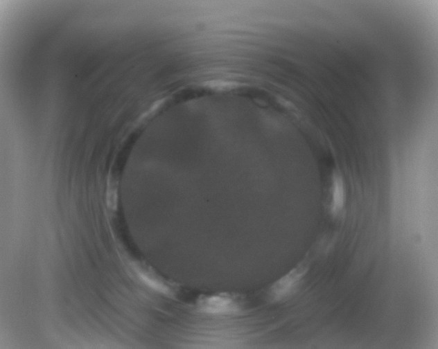 X0000082680180200702021236