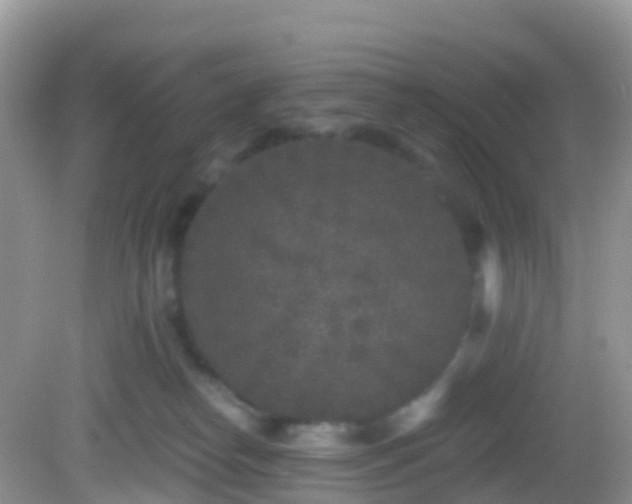 X0000082680182200702021236