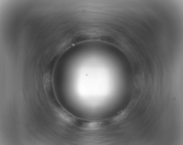 X0000082680184200702021236