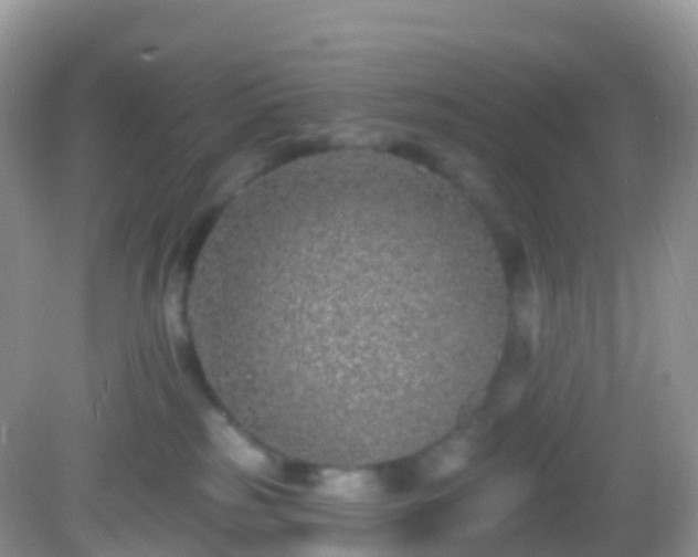 X0000082680185200702021236