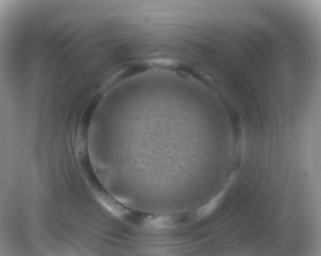 X0000082680186200702021236