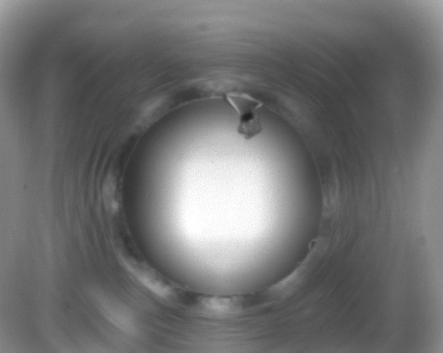 X0000082680187200702021236