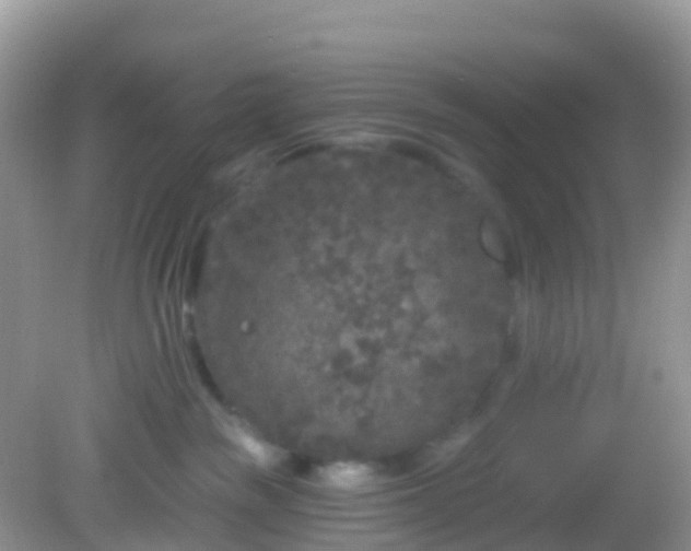 X0000082680189200702021236