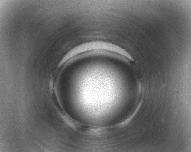 X0000082680190200702021236