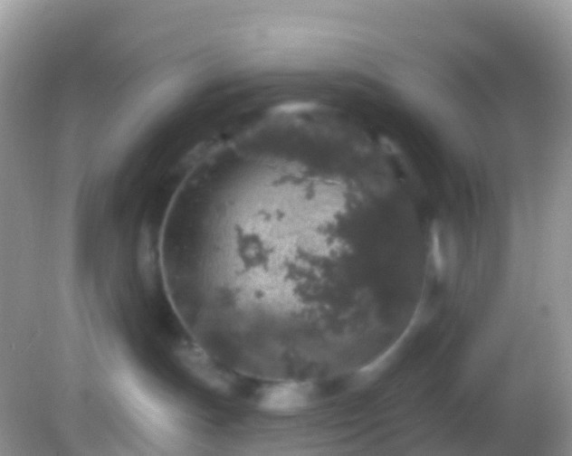 X0000082680191200702021236