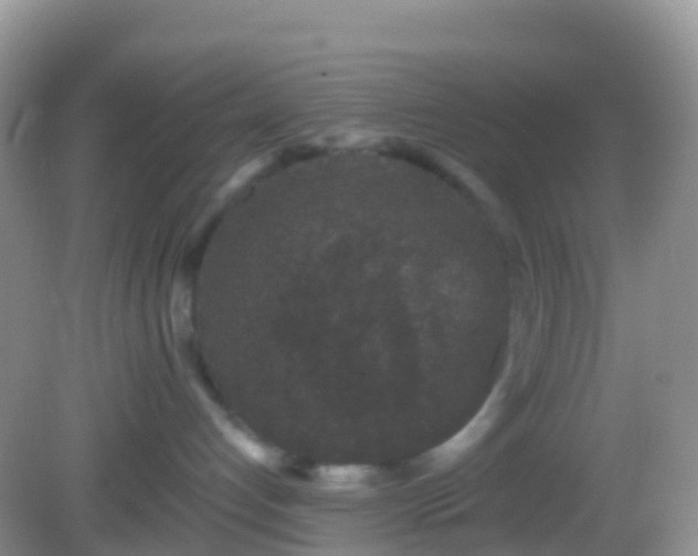 X0000082680192200702021236