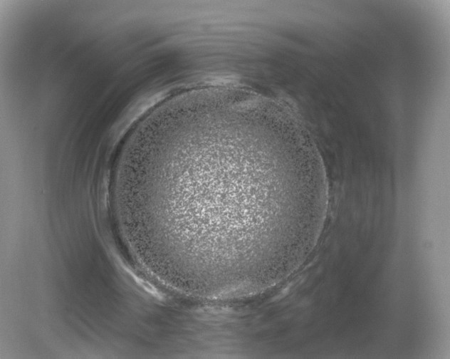 X0000082680194200702021235
