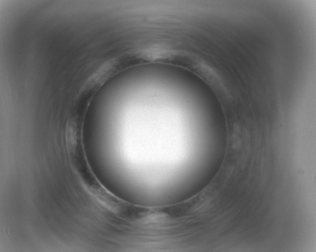 X0000082680210200702021235