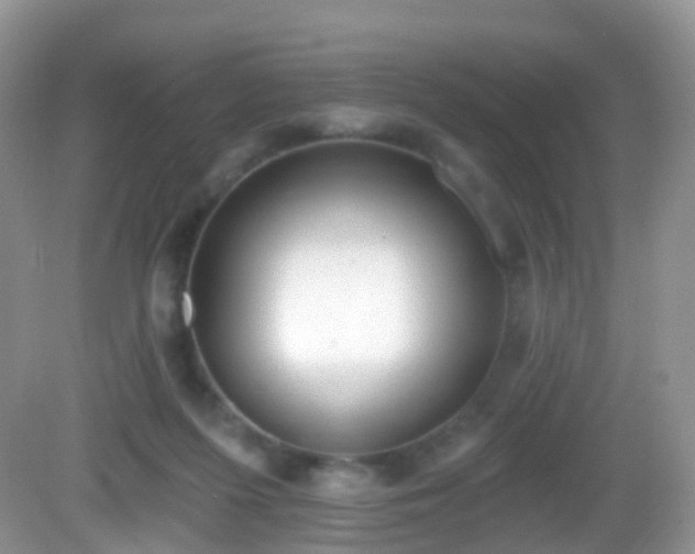 X0000082680215200702021235