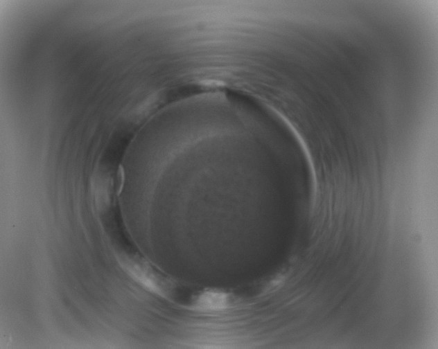 X0000082680227200702021235