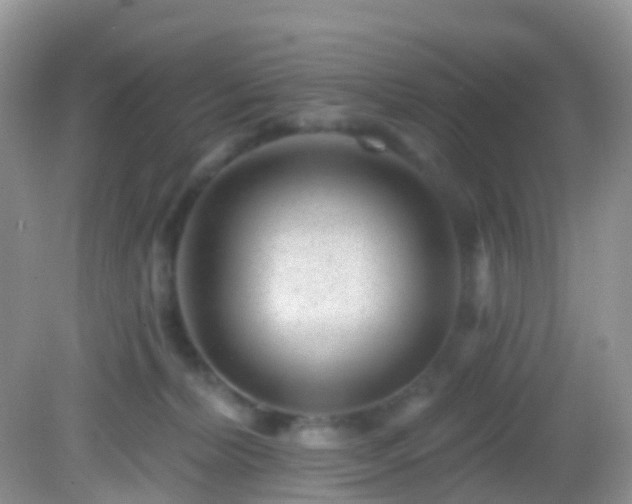 X0000082680228200702021235