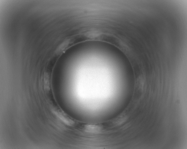 X0000082680234200702021235