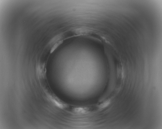 X0000082680239200702021235