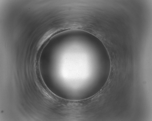X0000082680242200702021234