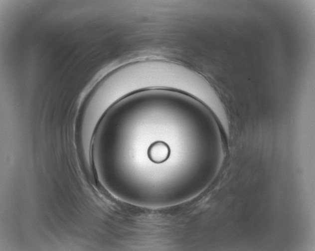 X0000082680244200702021234